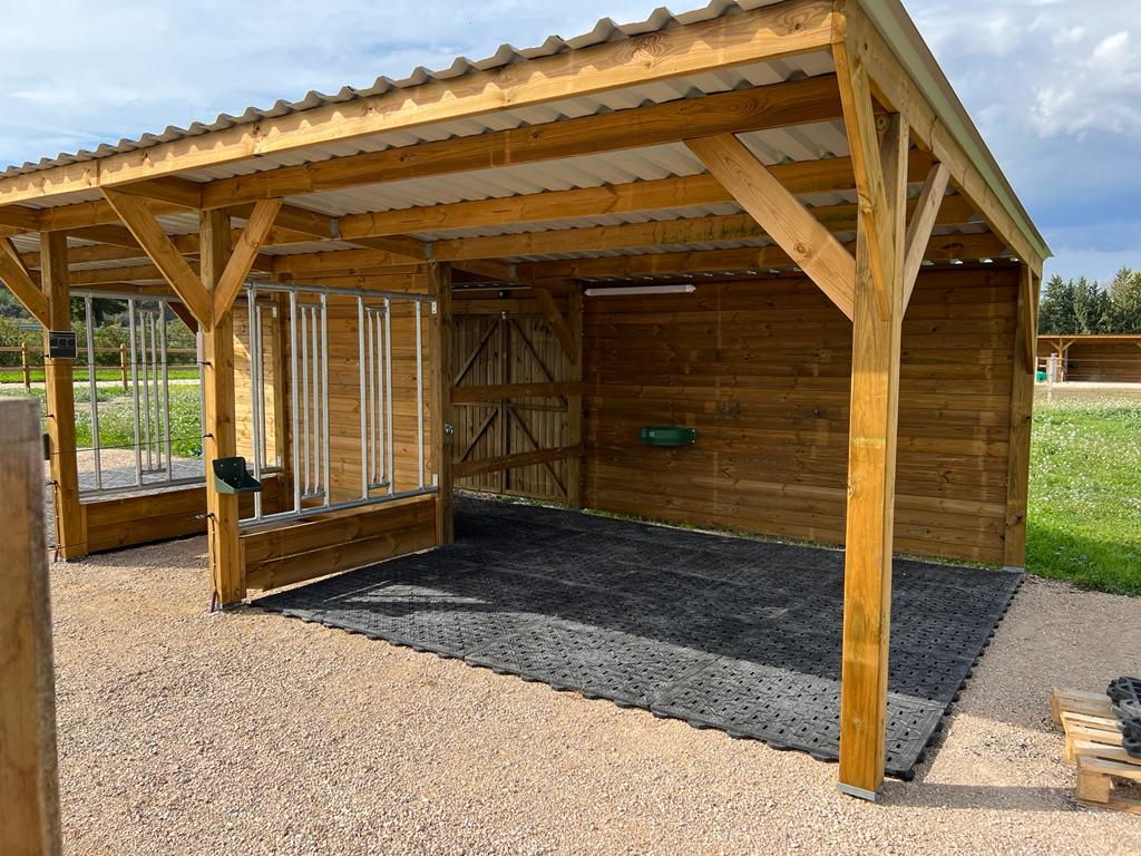 Stabilization grids for horses