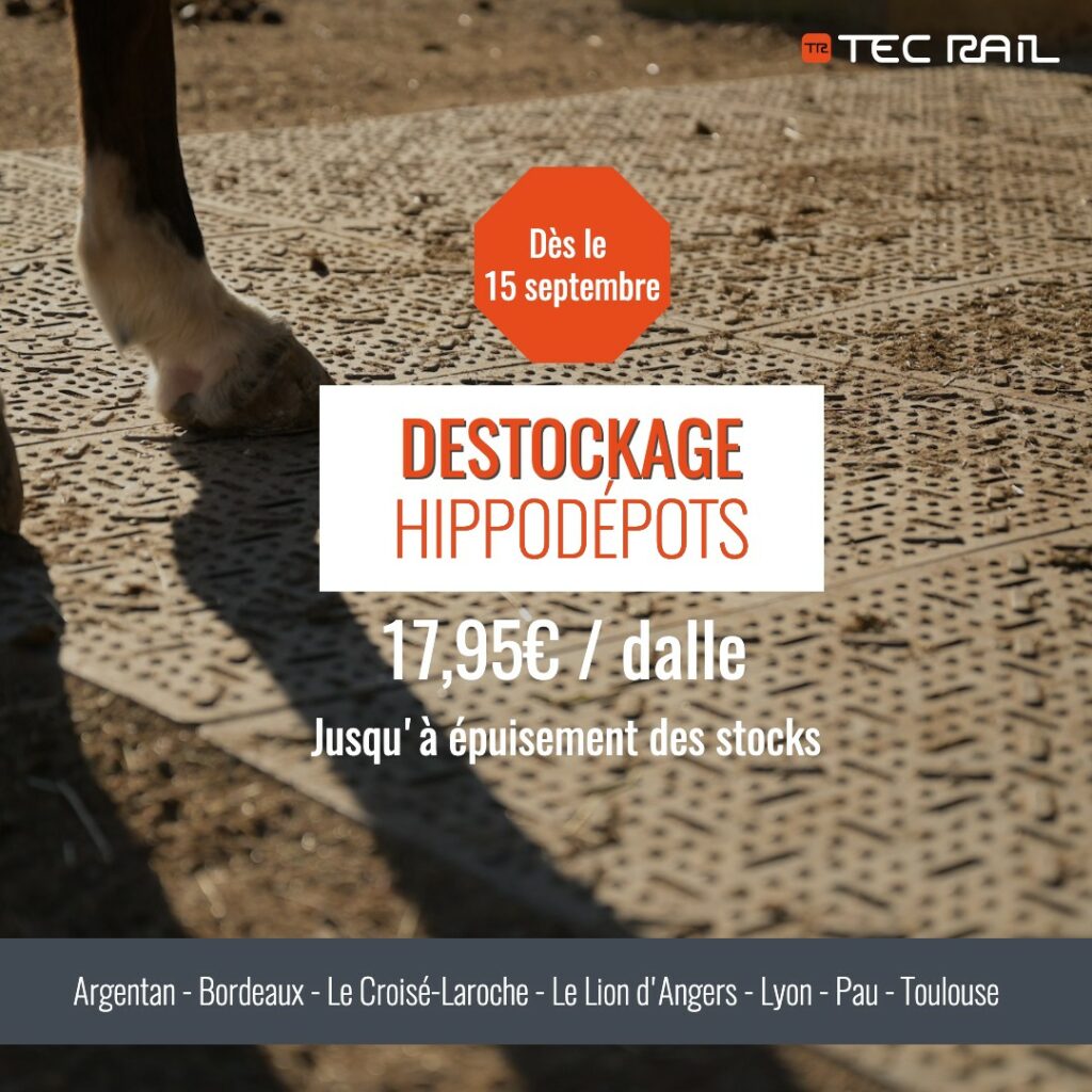 destockage_dalles-stabilisatrices_chevaux